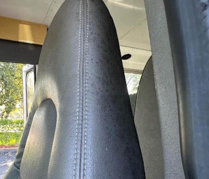  Mold on the drivers seat of a bus. 