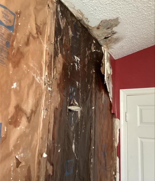 Mold growth in home