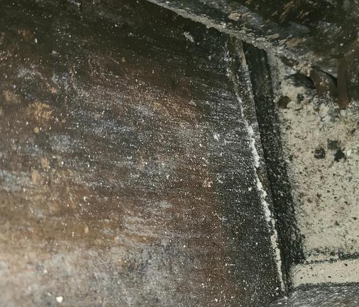 Mold on floor and wall in building.